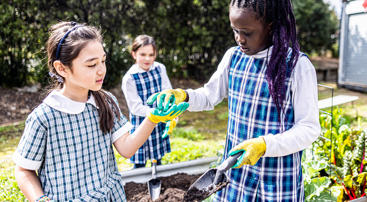 Montanna Gluvic (Student)