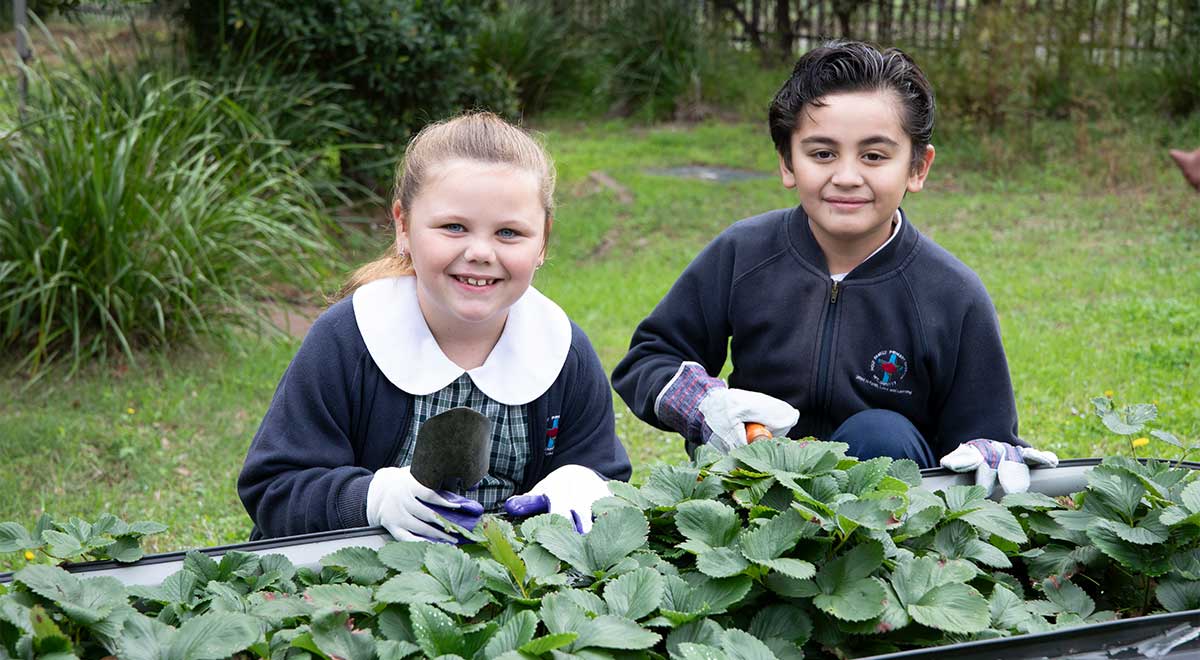 Montanna Gluvic (Student)