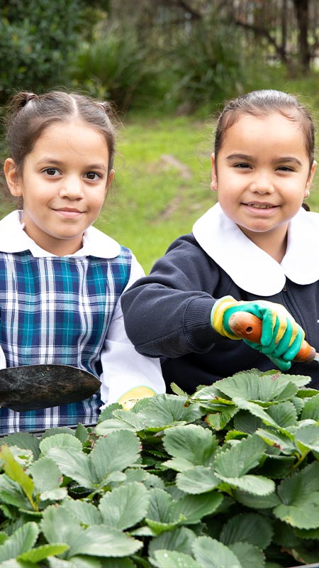Holy Family Primary Emerton students in school garden