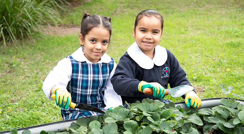 Holy Family Primary Emerton students gardening