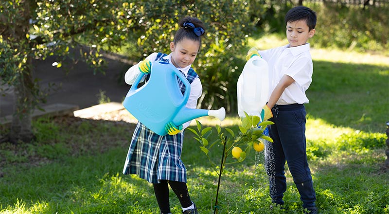 Holy Family Primary Emerton students watering plants in school garden