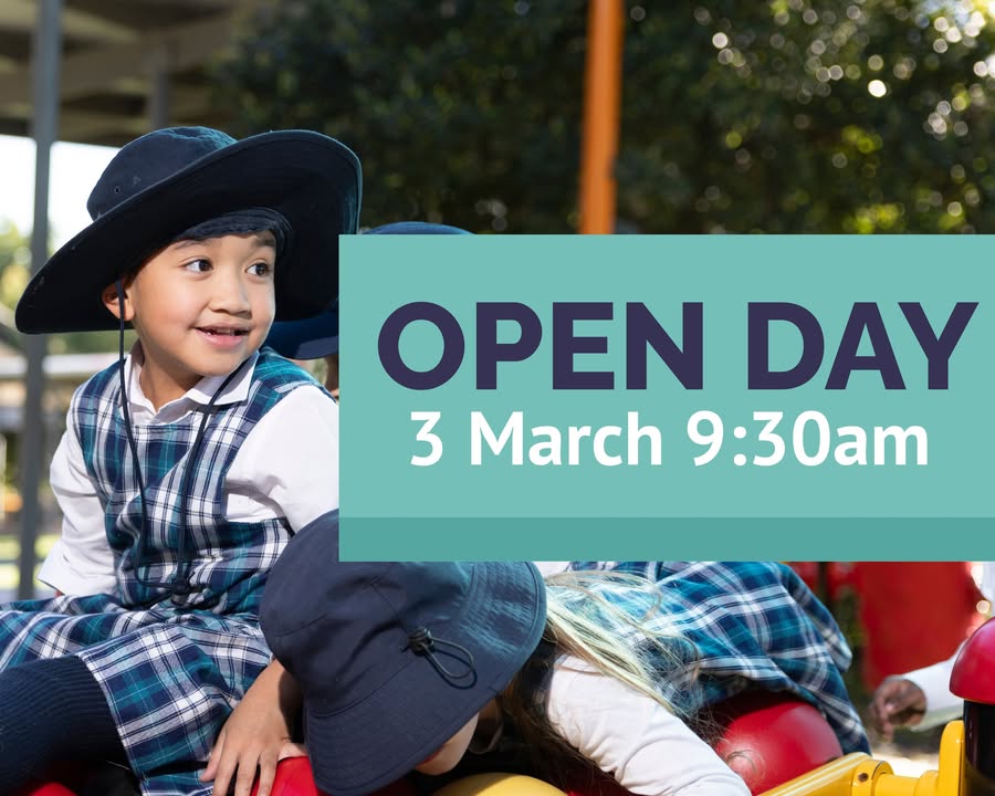 803043240997668_884712000597534-1