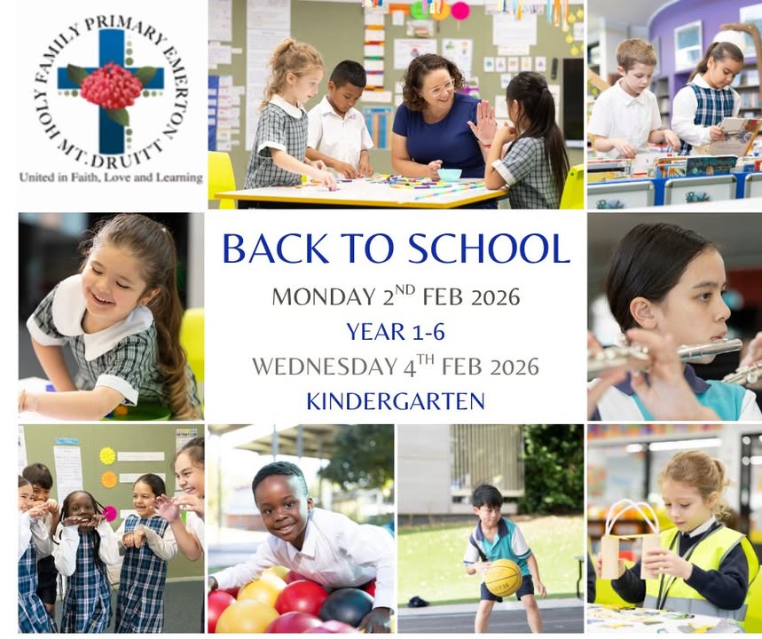 803043240997668_1731277474840902-1